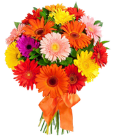 a bouquet of daisies